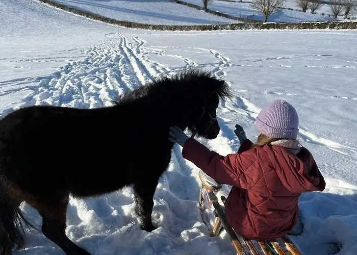 Appartement Les Champs *